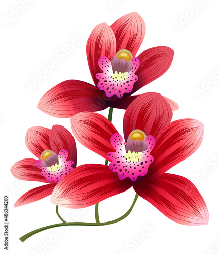 Red flowers branch. Exotic bright blossom plant