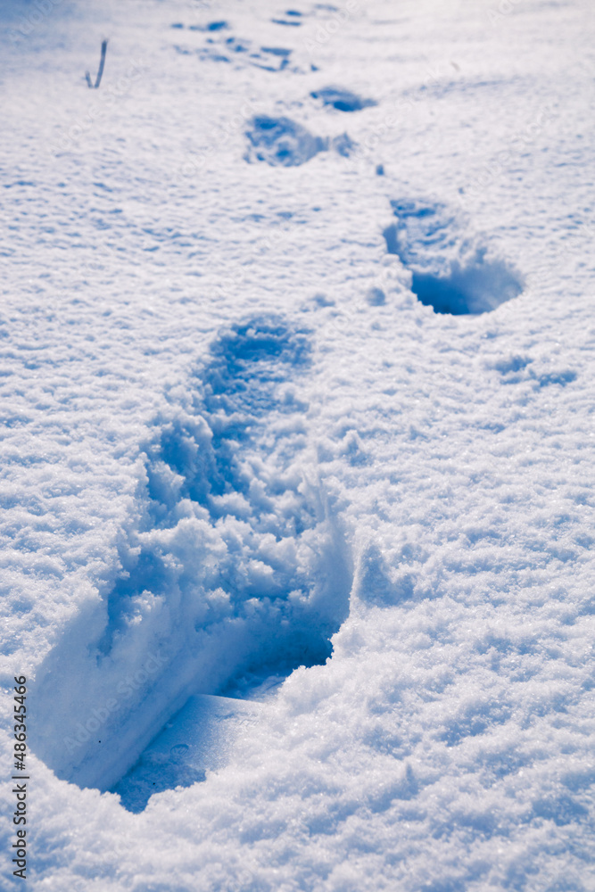 Human deep footprints in the snow under sunlight close-up view. Texture of snow surface, overhead view.
