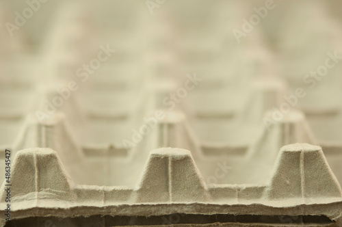 carton of eggs under a close-up photo