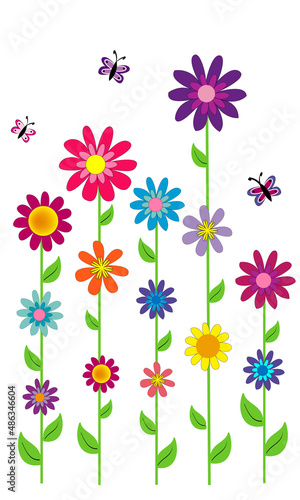 Flores de colores con el tallo largo y mariposas.