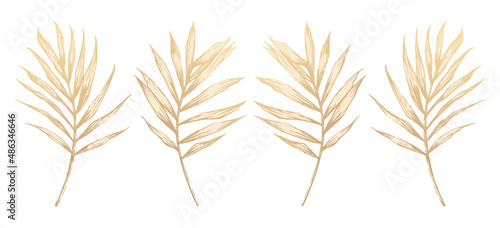 Golden palm leaves. Hand-drawn elements for luxury design. Vector illustration. Summer, tropical, voyage, beach vibe.