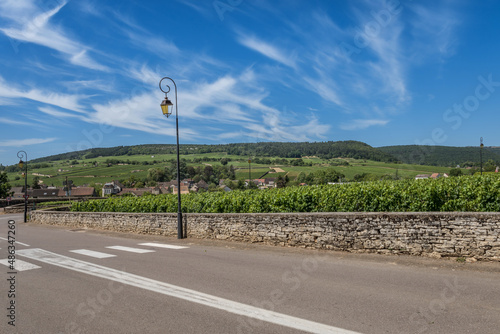 View to the road and vineyard in Burgundy Bourgogne home of pinot noir and chardonnay in summer day with blue sky. Cote d'Or photo