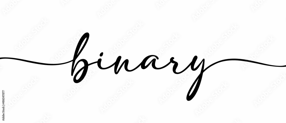 BINARY phrase Continuous one line calligraphy minimalistic handwritten with white background BINARY phrase Continuous one line calligraphy minimalistic handwritten with white background