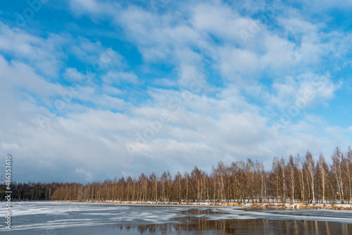 Beautiful winter landscape forest on the lake shore on a sunny frosty day. Panorama of the coastline covered with snow and birch grove. Ice on the river and the reflection of clouds in the water. © Pokoman