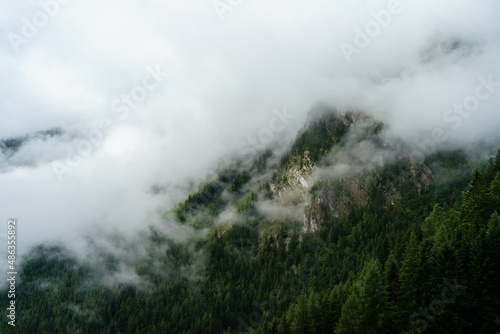 Forest covered mountain in fog