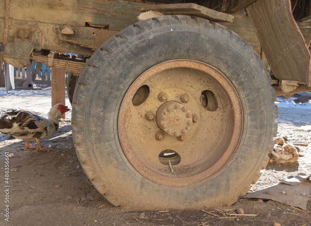 Big wheel covered in dirt, and a hen nearby Big wheel covered in dirt, and a hen nearby