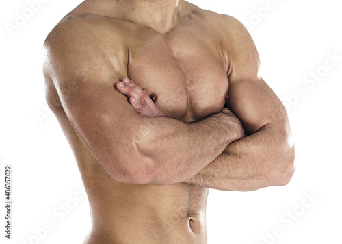Muscular body