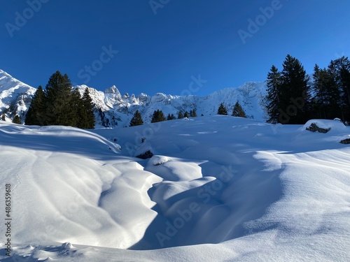 A magical play of light and shadow on a pure white snow cover in a mixed alpine forest, Schwägalp mountain pass - Canton of Appenzell Ausserrhoden, Switzerland (Schweiz)