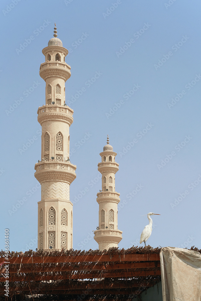 White heron sitting on the roof with white mosque minarets on backrgound in Hurghada, Egypt
