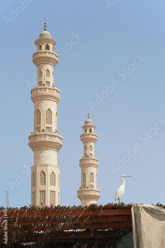 Obraz na płótnie White heron sitting on the roof with white mosque minarets on backrgound in Hurghada, Egypt w salonie