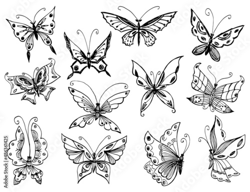 Contour drawings of various decorative fantasy butterflies