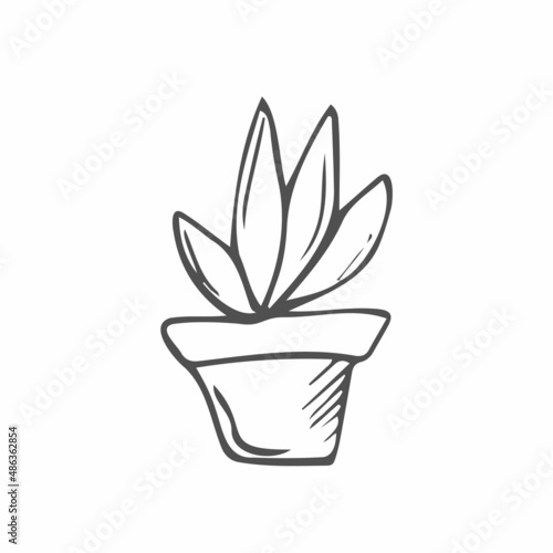 Flower pot with decorative grass, plant. Hand drawn simple black outline vector illustration in cartoon doodle style, isolated. Design element, clip art for decoration, coloring page