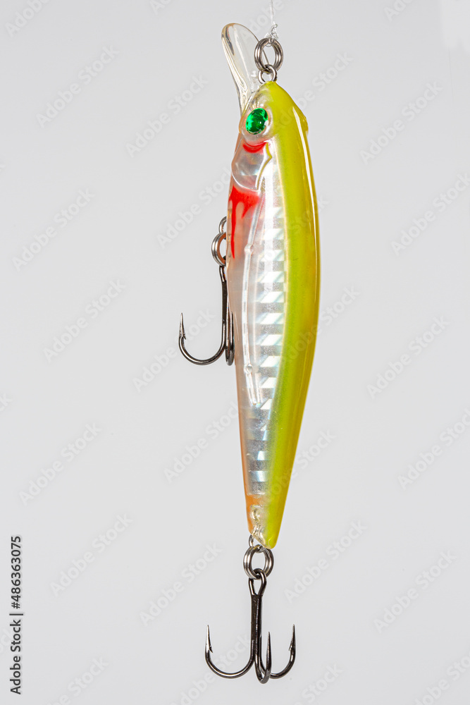 Fake Fish Bait Images – Browse 27 Stock Photos, Vectors, and