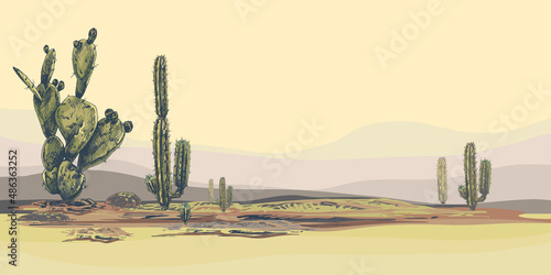 horizontal desert landscape background with cacti_High quality horizontal desert landscape background with cacti, sunset, natural stylish, vector background with tropical flowers, suculents, perfect