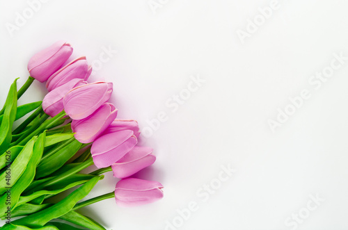 Fototapeta Naklejka Na Ścianę i Meble -  tulip flowers space text  background	
