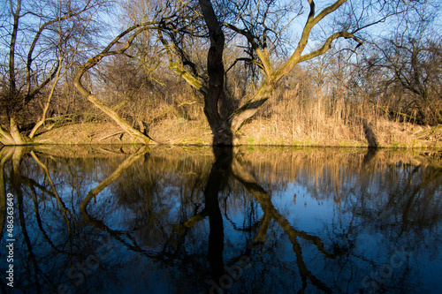 Natural location Na Podkove near Chrudima river, oxbow surrounded with trees and greenery, water surface reflections