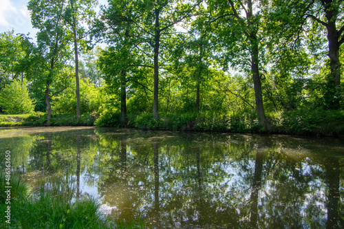 Natural location Na Podkove near Chrudima river, oxbow surrounded with trees and greenery, water surface reflections