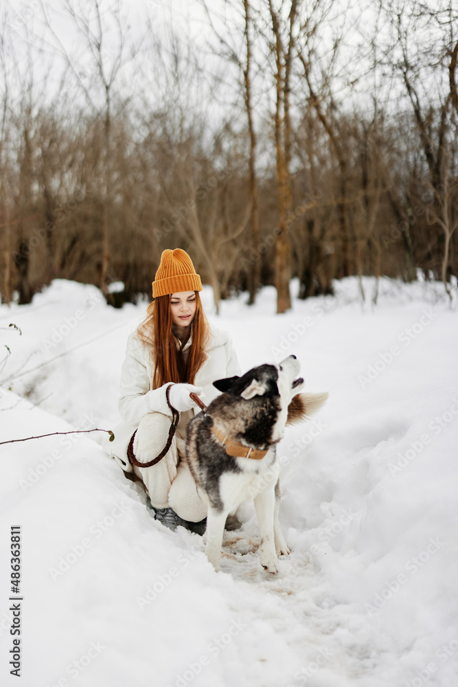 cheerful woman outdoors in a field in winter walking with a dog Lifestyle cheerful woman outdoors in a field in winter walking with a dog Lifestyle