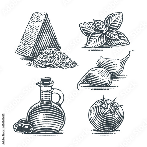 Garlic cloves, cheese, Cherry tomatoes, olive oil jar and basil. Hand drawn engraving style illustrations. Vector illustration.