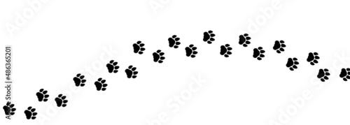 Set of tiger or cat footprints. Paw prints. A line of footprints. Vector template. Illustration isolated on white background.