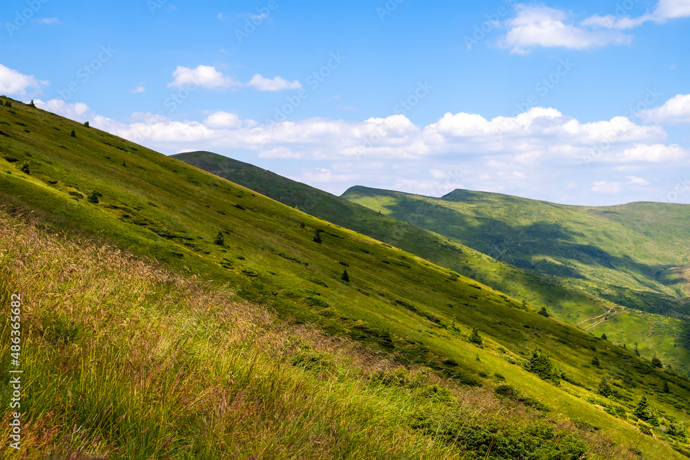 Bright landscape with grassy green meadow and distant mountain hills in summer