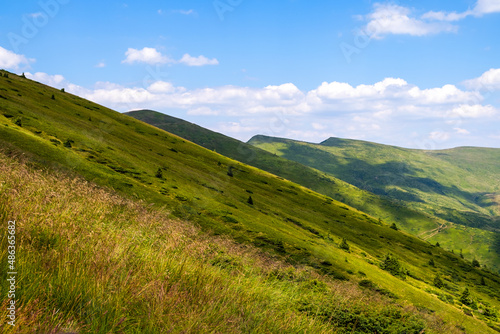 Bright landscape with grassy green meadow and distant mountain hills in summer