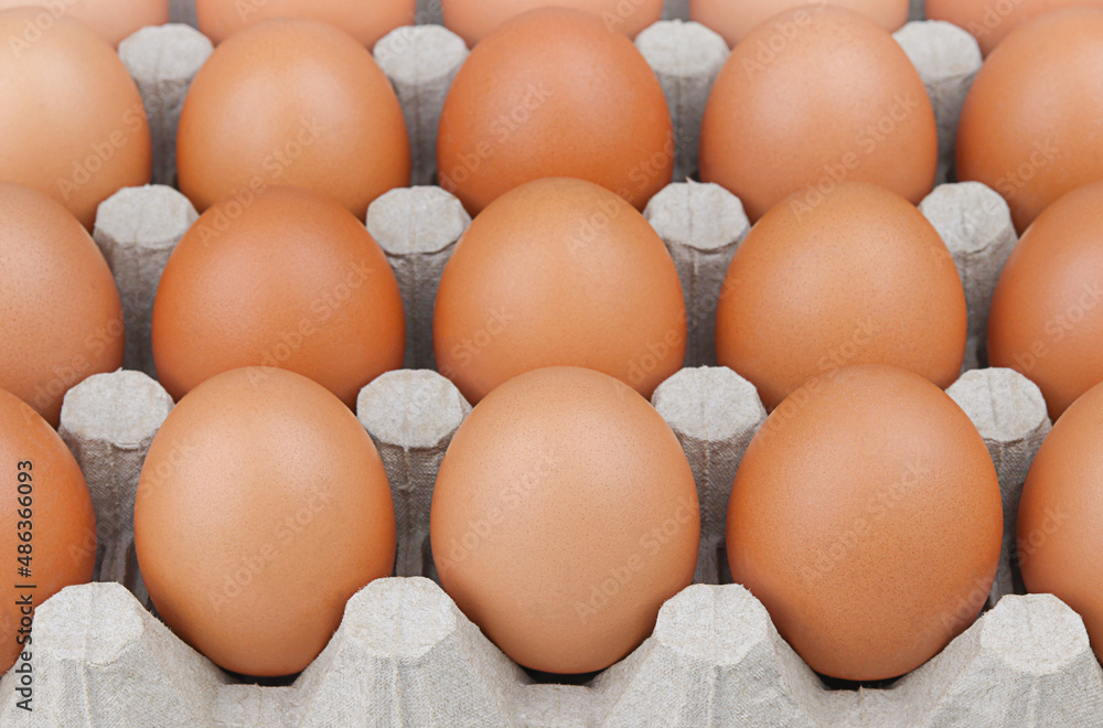Fresh brown chicken eggs in a cardboard box. Fresh brown chicken eggs in a cardboard box.
