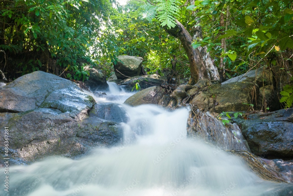 waterfall in the forest