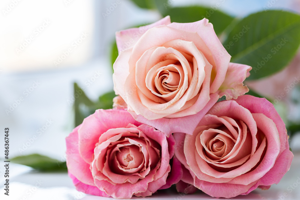 Bouquet of fresh roses closeup. Floral gift. Bouquet of fresh roses closeup. Floral gift.