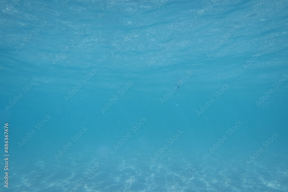 Underwater Underwater