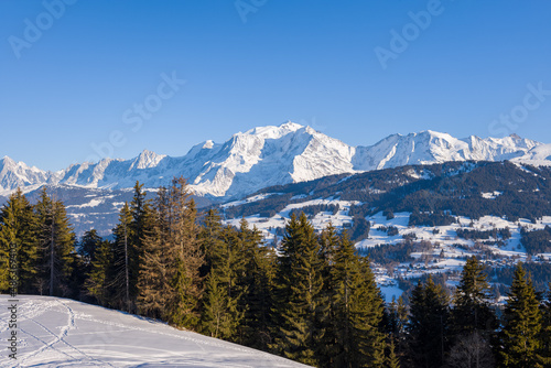 Mont Blanc massif and fir forests in Europe, France, Rhone Alpes, Savoie, Alps, in winter on a sunny day.
