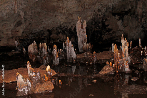 Unique stalagmites of Tabon Caves in Palawan, Philippines photo