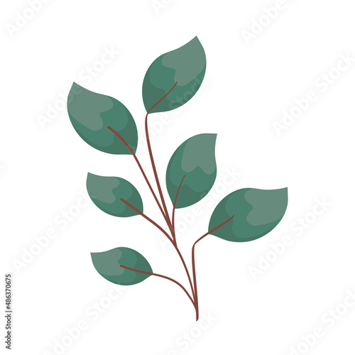 leaves green watercolour plant