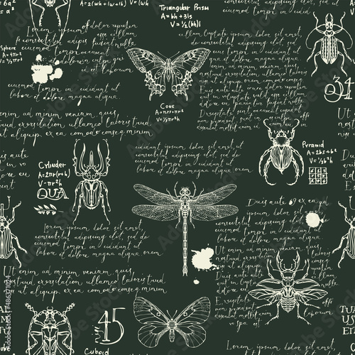 Seamless pattern with various insects and handwritten text Lorem Ipsum. Hand-drawn vector background with butterflies, beetles, dragonfly on black backdrop. Wallpaper, wrapping paper or fabric design