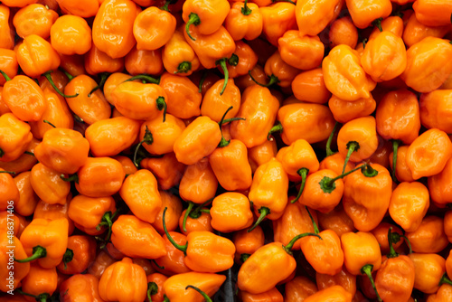 A close-up of tiny orange chilies on display for sale to the public. Orange habanero peppers for sale. photo