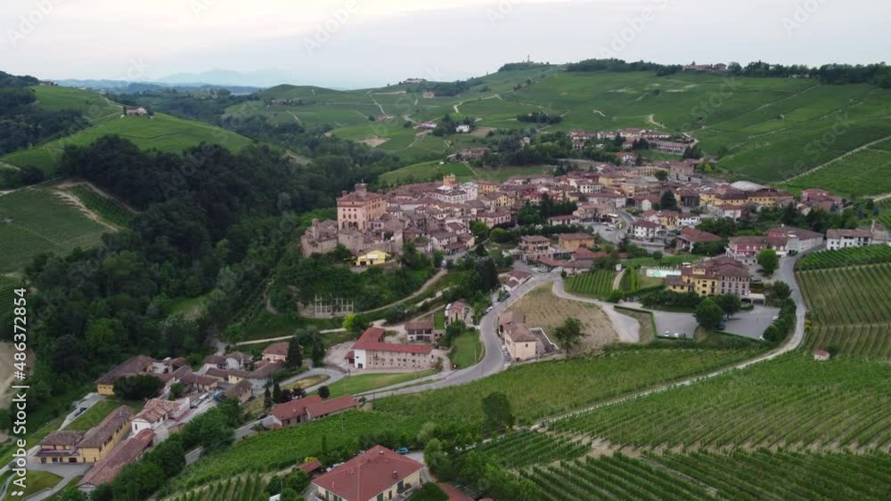 Barolo medieval castle in Langhe and vineyard, Piedmont Italy (Piemonte) Barolo medieval castle in Langhe and vineyard, Piedmont Italy (Piemonte)