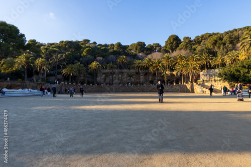 árvores no parc guell, Barcelona