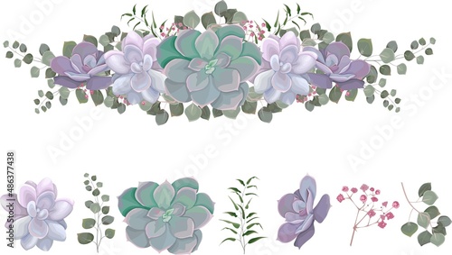 Floral vector border. Succulents, eucalyptus, pink gypsophila, green plants and leaves. All elements are isolated on white background