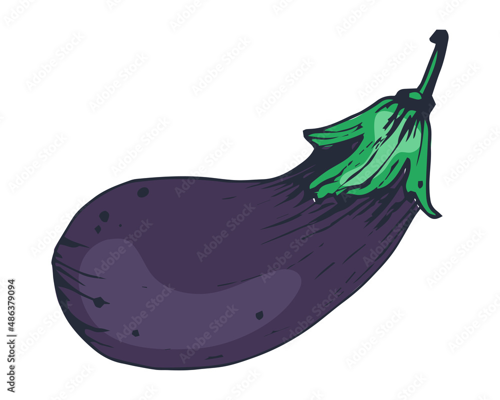 One eggplant isolated on white background. Flat vector illustration. Eps 10 One eggplant isolated on white background. Flat vector illustration. Eps 10