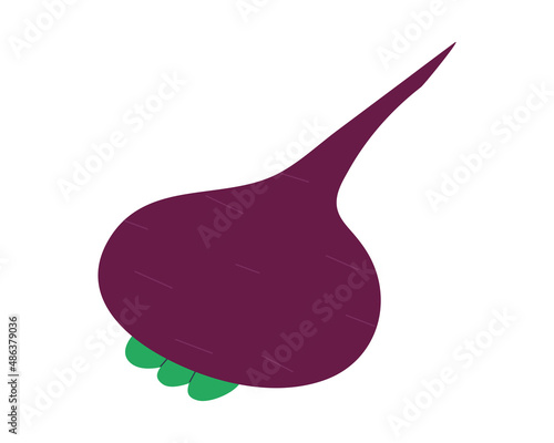 Beet. Isolated on white background. Vector illustration. Eps 10