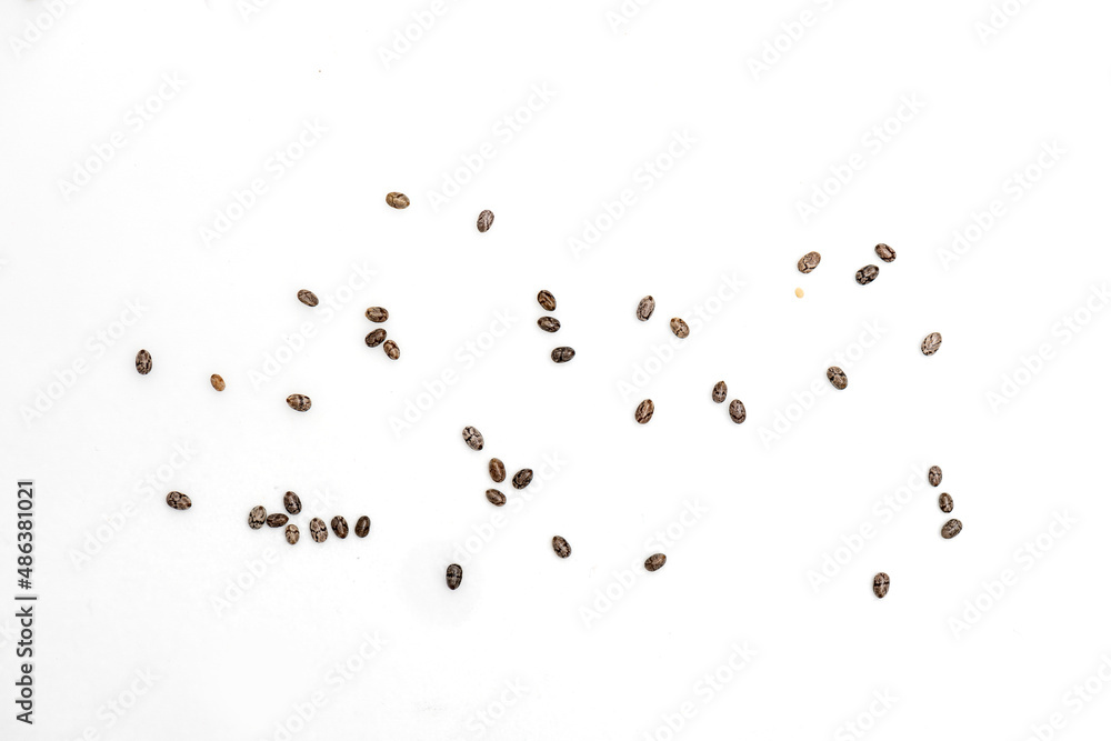 Fototapeta premium Semi di chia, chia seed