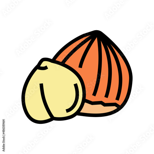 hazelnut nut color icon vector. hazelnut nut sign. isolated symbol illustration