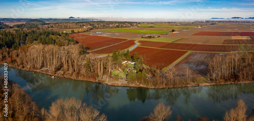 Winter Blueberry Fields in the Skagit Valley  Washington State. Over 90 different crops are grown in Skagit County and blueberries account for a good portion of that industry. Aerial view of the crops