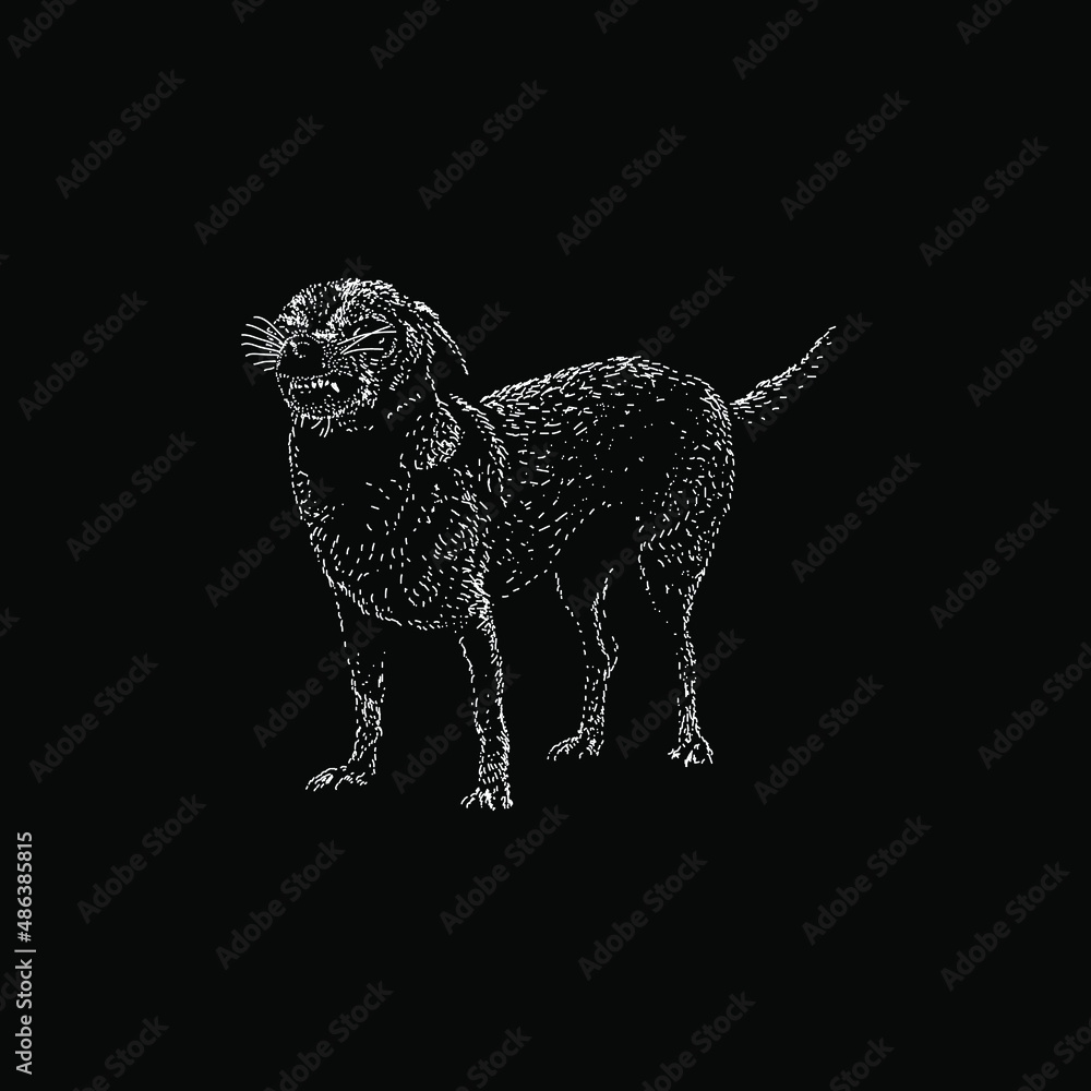 taco terrier hand drawing vector illustration isolated on black background