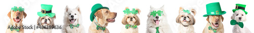 Cute dogs with party decor for St. Patrick's Day celebration on white background