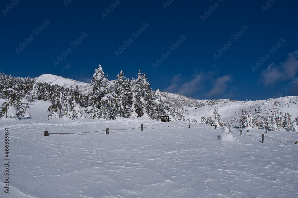 冬の八ヶ岳青空と厳冬の雪山風景