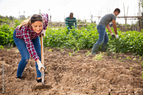 Canvas Print Smiling Columbian woman amateur gardener hoeing soil on vegetable garden in springtime, preparing for seedlings planting