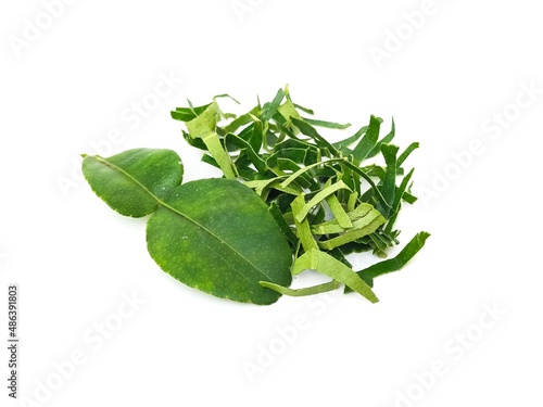 Fresh organic kaffir lime leaves, no chemicals, cut into pieces as a cooking ingredient.  Green leaves, placed on a white background.