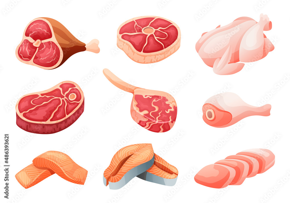 Set of raw beef, chicken, and salmon cartoon illustration