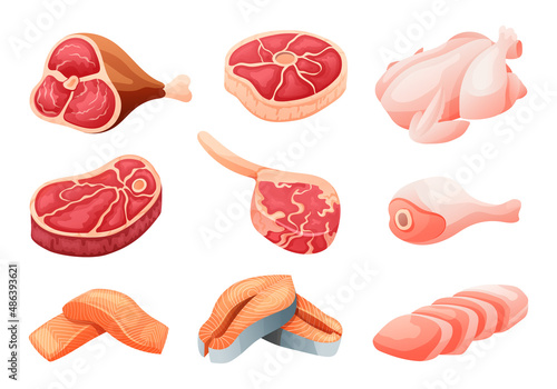 Set of raw beef, chicken, and salmon cartoon illustration